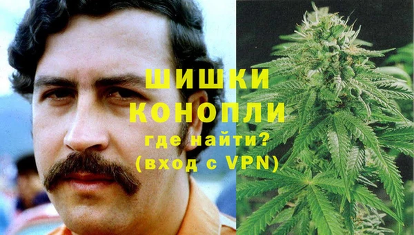 трава Абаза