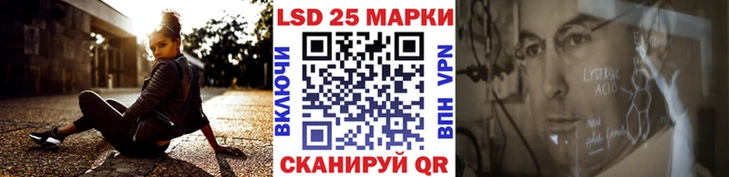 Марки N-bome 1500мкг kraken ССЫЛКА Питкяранта купить наркоту